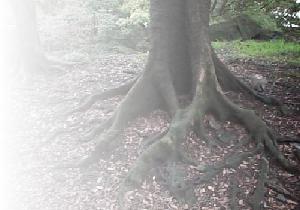 �Ϥ����ޤ���